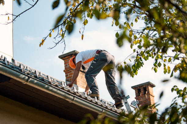 Best Roof Leak Repair  in Harrisonville, MO