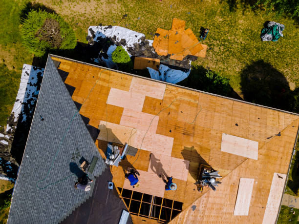 Best Roof Restoration Services  in Harrisonville, MO