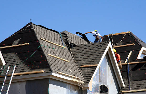Best Roof Maintenance Services  in Harrisonville, MO