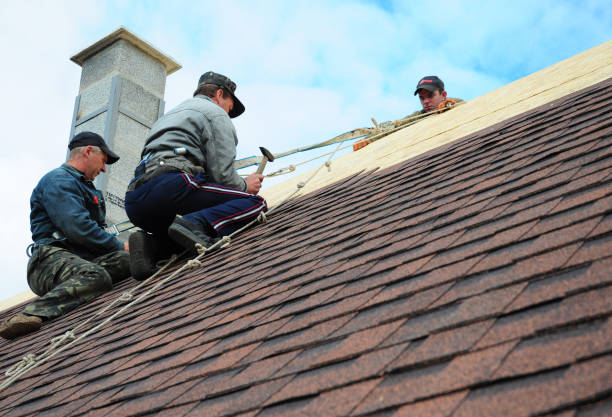 Best Sealant for Roof  in Harrisonville, MO